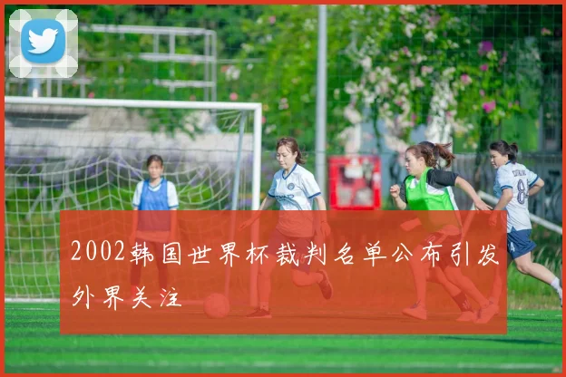 2002韩国世界杯裁判名单公布引发外界关注