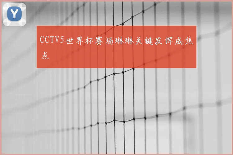 CCTV5世界杯赛场琳琳关键发挥成焦点