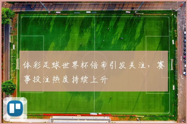 体彩足球世界杯倍率引发关注，赛事投注热度持续上升