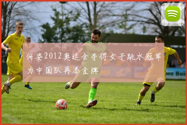 何姿2012奥运会夺得女子跳水冠军为中国队再添金牌