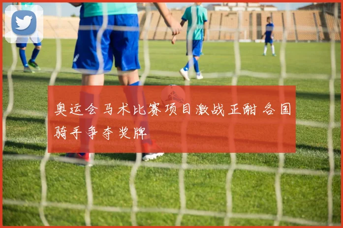 奥运会马术比赛项目激战正酣 各国骑手争夺奖牌