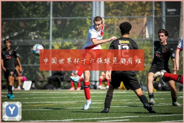 中国世界杯十六强球员都有谁