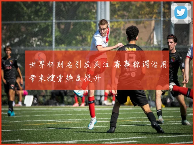 世界杯别名引发关注 赛事称谓沿用带来搜索热度提升