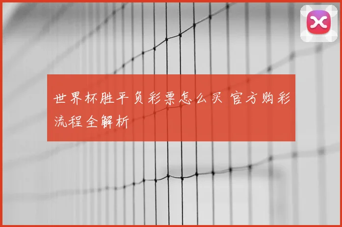 世界杯胜平负彩票怎么买 官方购彩流程全解析