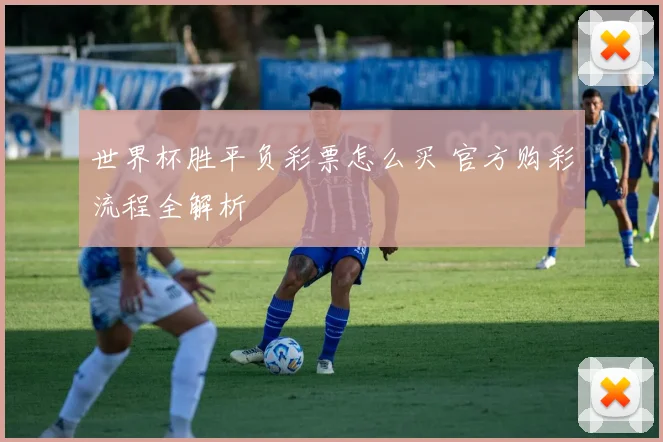 世界杯胜平负彩票怎么买 官方购彩流程全解析